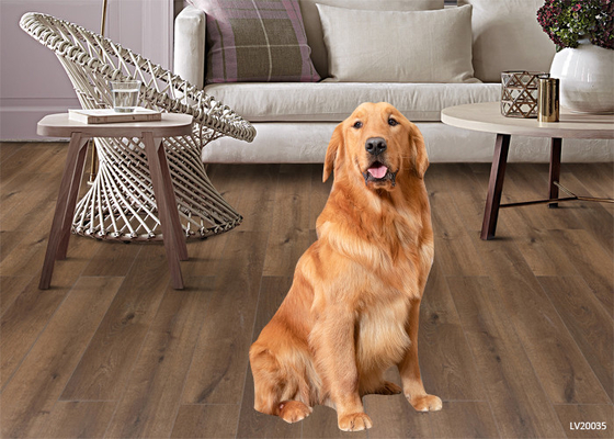 Waterproof and flame-retardant floor WFR flooring,also called MGO flooring